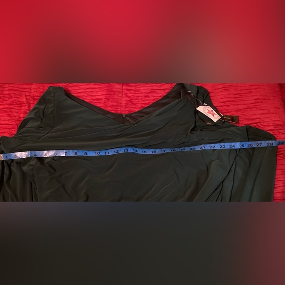 NWT Drape Back Column Gown Betsy & Adam SIZE 22 WIDE - Picture 8 of 9